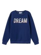 Name It Sweatshirt NKFOTUSSA LS NREG SWEAT BRU