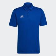 adidas Performance Poloshirt ENT22 POLO