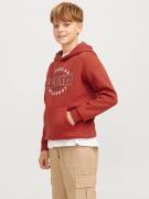 Jack & Jones Junior Hoodie JJELOGO SWEAT HOOD 2 COL 24/25 NOOS JNR