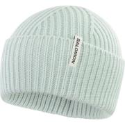 NU 20% KORTING: Salomon Beanie SNOWBIRD BEANIE U