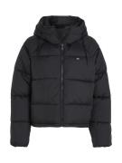 NU 20% KORTING: Tommy Jeans Curve Gewatteerde jas JW ASPEN PUFFER EXT