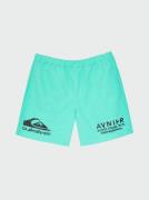 Quiksilver Functionele short AVNIER AVWW