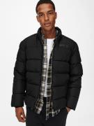 ONLY & SONS Gewatteerde jas ONSMELVIN LIFE PUFFER JACKET OTW VD