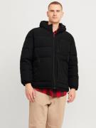 Jack & Jones PlusSize Outdoorjack JJEOTTO PUFFER JACKET PLS