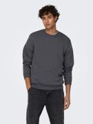 NU 20% KORTING: ONLY & SONS Sweatshirt ONSCERES CREW NECK NOOS