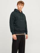 Jack & Jones Hoodie JORFREDERIKSBERG SWEAT HOOD SN