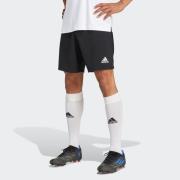 adidas Performance Trainingsshort ENT22 SHO (1-delig)