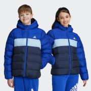 adidas Sportswear Winterjack J SD JKT