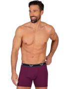 Trigema Boxershort TRIGEMA Pants (1 stuk)