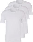 BOSS T-shirt ronde hals met subtiele boss logo-print (Set van 3)