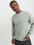 Jack & Jones Sweatshirt JJESTAR BASIC SWEAT CREW NECK NOOS