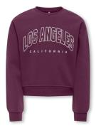 KIDS ONLY Sweatshirt KOGSWEAT LIFE LS CREW O.SIZE STAT CP SWT