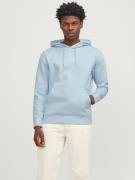 Jack & Jones Hoodie JPRBLUARCHIE SWEAT HOOD NOOS