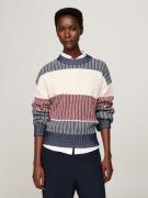 Tommy Hilfiger Gebreide trui GLOBAL STP ALL OVER SWEATER met tommy hil...