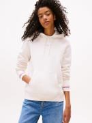 TOMMY JEANS Hoodie TJW REG LINEAR HOODIE EXT