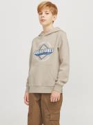 Jack & Jones Junior Hoodie JJELOGO SWEAT HOOD 2 COL 24/25 NOOS JNR