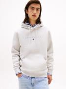 TOMMY JEANS Hoodie TJM REG LINEAR LOGO HOODIE EXT