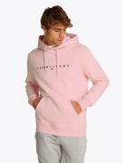 TOMMY JEANS Hoodie TJM REG LINEAR LOGO HOODIE EXT