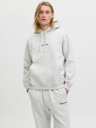 Jack & Jones Hoodie JORNORREBRO EMB SWEAT HOOD NOOS