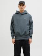 Jack & Jones Hoodie JORISLINGTON BACK SWEAT HOOD SN