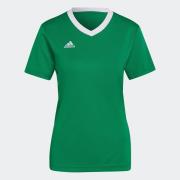 adidas Performance Voetbalshirt ENT22 JSY W