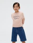 Calvin Klein Trui met ronde hals LOGO METALLIC INTERSIA voor kinderen ...
