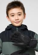 Jack Wolfskin Skihandschoenen 2L WINTER GLOVE K