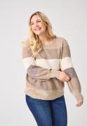 ONLY CARMAKOMA Gebreide trui CARNEW DARIA L/S STRIPE PULLOVER KNT