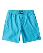 Billabong Zwemshort All Day Layback