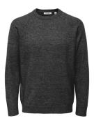 ONLY & SONS Trui met ronde hals ONSTHOMAS REG CREW NECK KNIT - OTL
