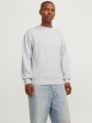 Jack & Jones Sweatshirt JJECHARGE SWEAT CREW NECK NOOS
