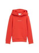Tom Tailor Hoodie met capuchon en kangoeroezak
