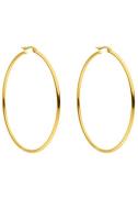 Purelei Oorringen Sieraad cadeau Hoops oorbellen, 22151-Earring-Hoop m...