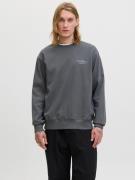Jack & Jones Sweatshirt JPRBLACHAD BRANDING SWEAT CREW NECK LN