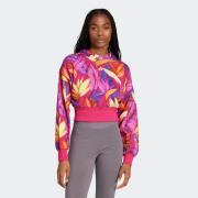 adidas Sportswear Hoodie FARM HOODIE