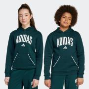 adidas Sportswear Hoodie J CLGT OH FL HD