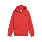 PUMA Hoodie ESS 2 COLOR SMALL NO. 1 LOGO HOODIE FL B