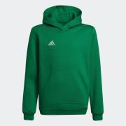 adidas Performance Hoodie ENT22 HOODY Y