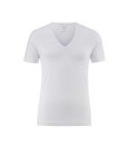 OLYMP T-shirt Casual