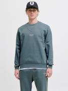 Jack & Jones Sweatshirt JJESOHO SWEAT CREW NECK NOOS