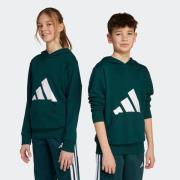 adidas Sportswear Hoodie J BL FT HD 280
