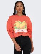 Only Sweatshirt ONLPHILEA L/S FRUIT O-NECK UB SWT