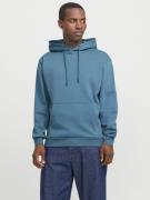 Jack & Jones Hoodie JJEBRADLEY SWEAT HOOD NOOS