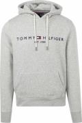Tommy Hilfiger Hoodie Core Grijs