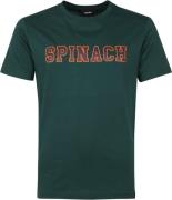 ANTWRP T-Shirt Spinach Donkergroen