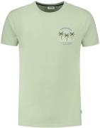 Shiwi T-Shirt Antigua Port Dust Green
