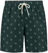 Shiwi Zwembroek Mike Sketched  Donkergroen