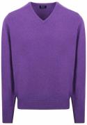 William Lockie V-Hals Lamswol Paars