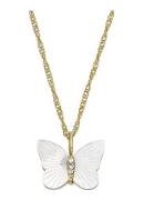 Fossil Ketting met kristal JF04424710