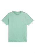 Polo Ralph Lauren t-shirt groen Big & Tall